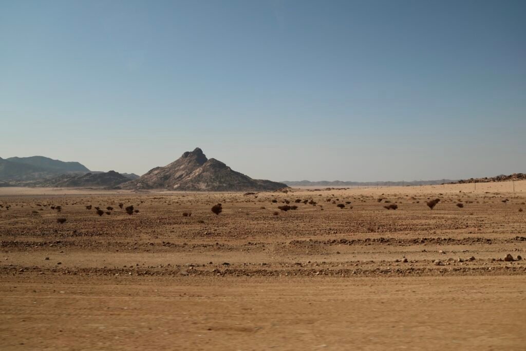 saoedi arabië 2025 11 07 (32)